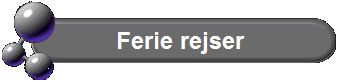 Ferie rejser